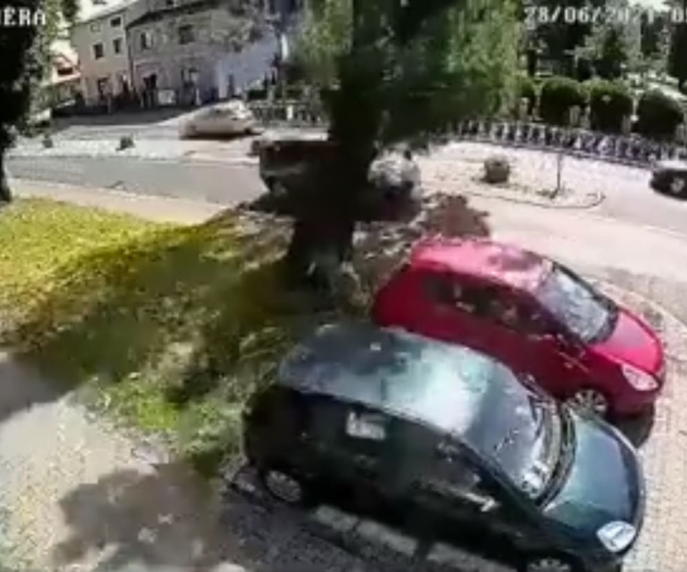 Śląskie: Potężne drzewo spadło na jadący samochód. Nagranie z monitoringu jest przerażające [WIDEO]