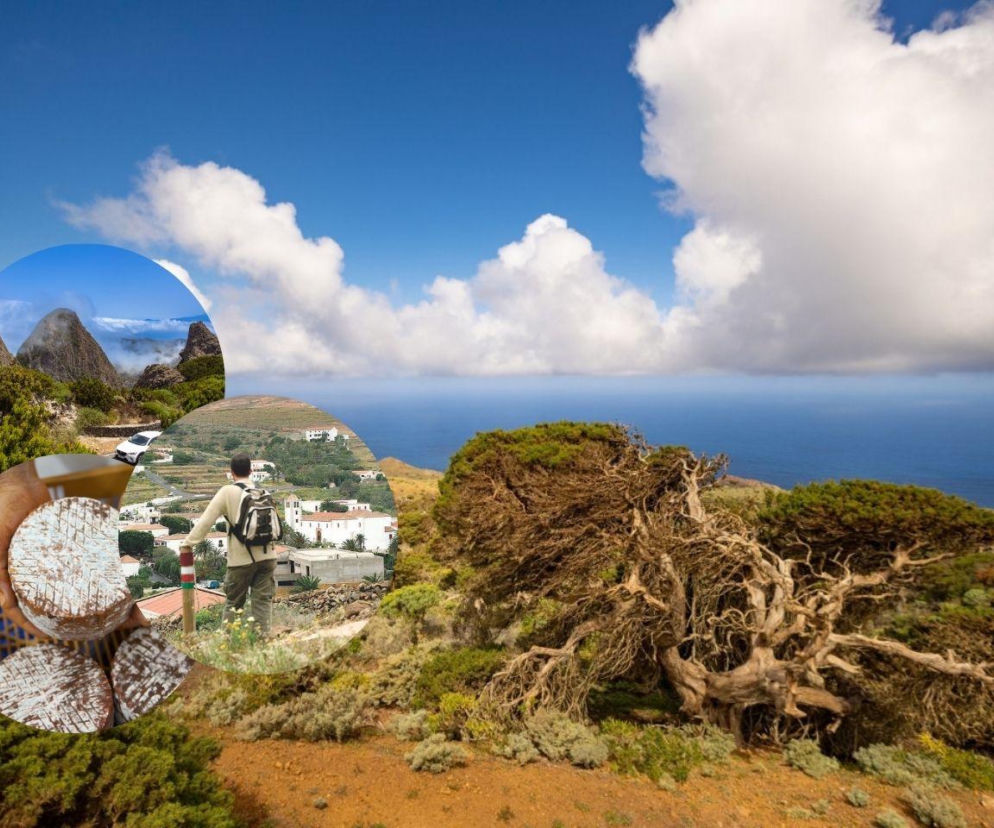 Fuerteventura i Teneryfa