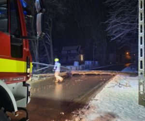 Śnieg przewrócił drzewo i zerwał linię energetyczną