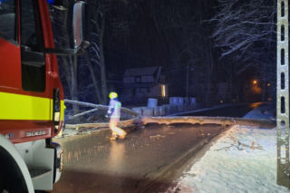 Śnieg przewrócił drzewo i zerwał linię energetyczną