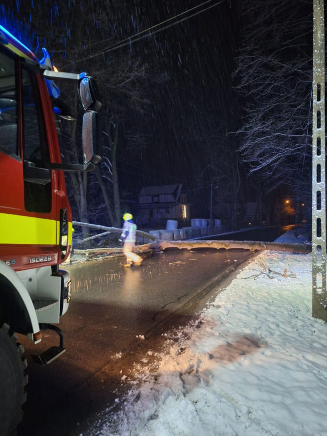 Śnieg przewrócił drzewo i zerwał linię energetyczną