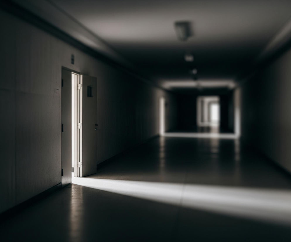 Długi, ciemny korytarz rozciąga się w głąb obrazu, zlewając się w rozmazany punkt w oddali. Po lewej stronie, w połowie długości korytarza, otwarte drzwi ujawniają jasne światło, które tworzy długi, ukośny snop na podłodze. Ściany i sufit korytarza są jednolicie szare, oświetlone przez odległe źródła światła, a na suficie widać jedno podłużne światło.