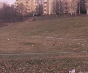 Bałagan po sylwestrowym imprezowaniu