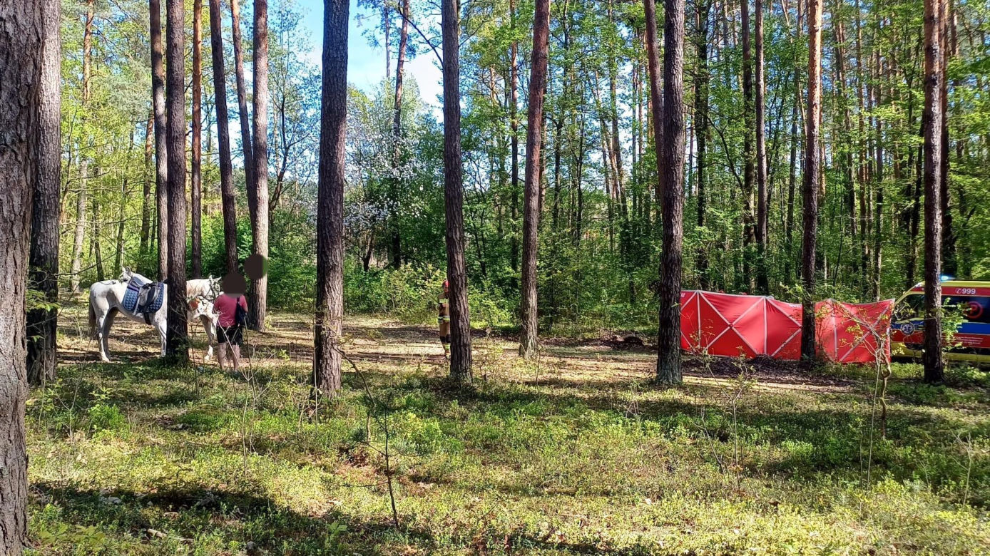 Tragedia na Lubelszczyźnie. 14-latka zginęła po upadku z konia