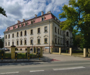 To jedno z najpiękniejszych miasteczek na Śląsku. Czaruje nie tylko rynkiem, ale też unikatowym pałacem