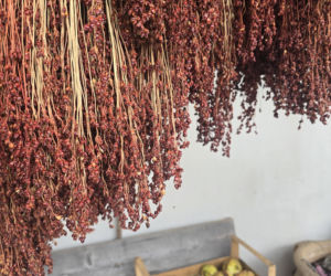 Piadina romagnola - duma regionu Emilia-Romania. Spotkanie z włoską tradycją w wiosce Montetiffi