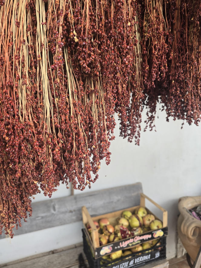 Piadina romagnola - duma regionu Emilia-Romania. Spotkanie z włoską tradycją w wiosce Montetiffi