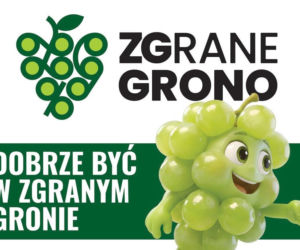 ZGrane Grono. Nowy program lojalnościowy dla mieszkańców Zielonej Góry. 