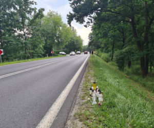 Jamnica. To tu zginęli rodzice trójki dzieci. Makabryczny wypadek pod Stalową Wolą