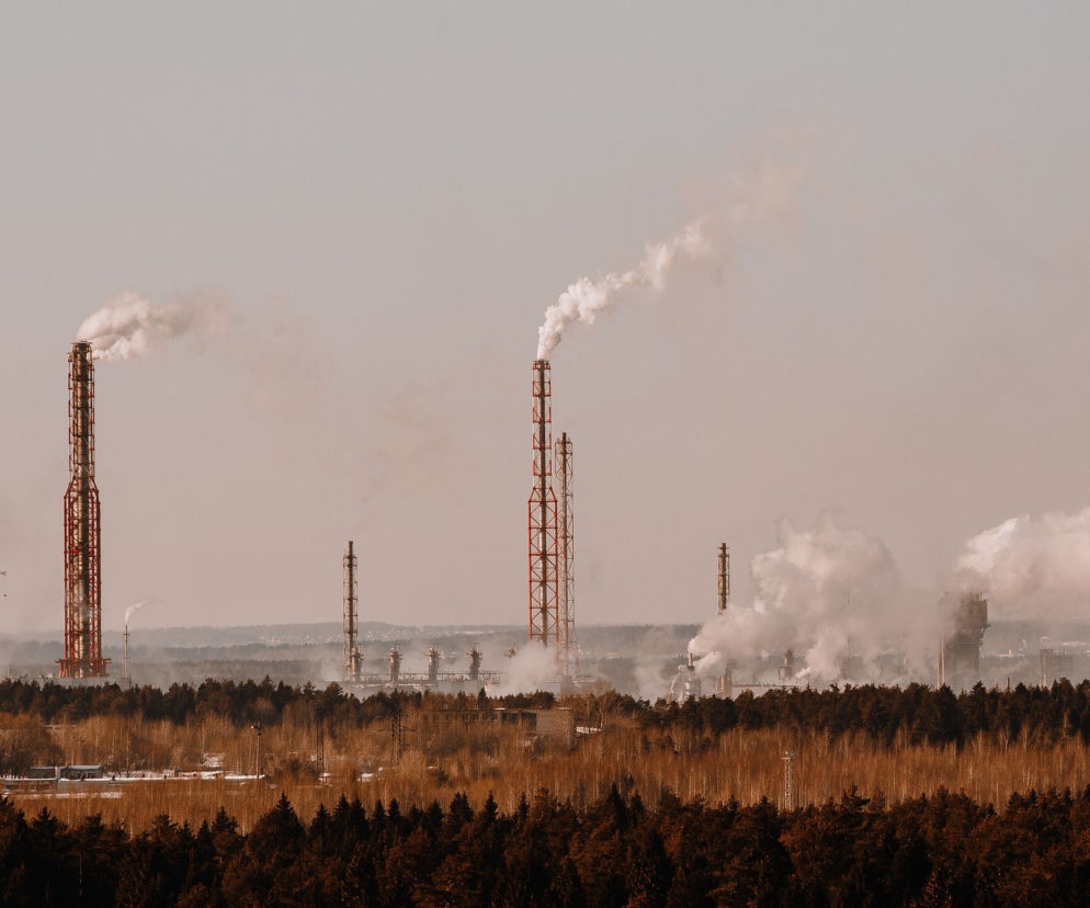 RAKOTWÓRCZE powietrze. Dwa miasta z regionu w czołówce rankingu
