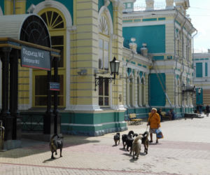 Tak wygląda podróż koleją transsyberyjską