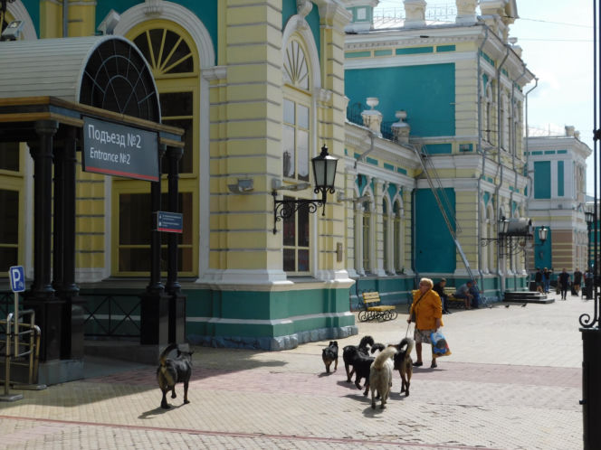 Tak wygląda podróż koleją transsyberyjską