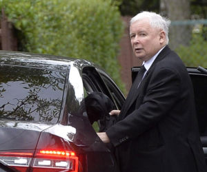 Koty Jarka nas terroryzują