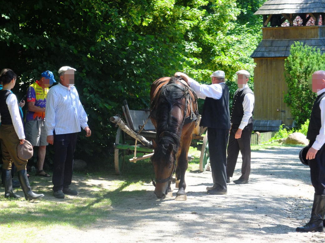 Jarmark Koński w Muzeum Wsi Lubelskiej. Ostre targowanie, próba uciągu i lit-kup na dyszlu [ZDJĘCIA, WIDEO]