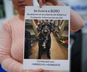 Czwarta katastrofa kolejowa w Hiszpanii! Pociąg uderzył w dźwig