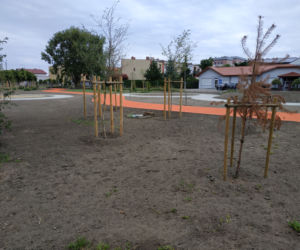 park Gronowo