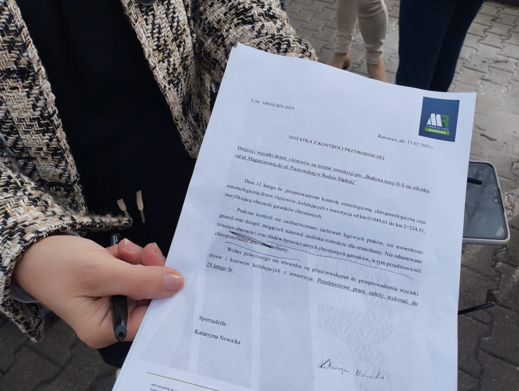 Kontrowersyjna wycinka drzew pod trasę N-Ś w Rudzie Śląskiej. Mieszkańcy: "to jest fałszerstwo na duża skalę, to skandal"