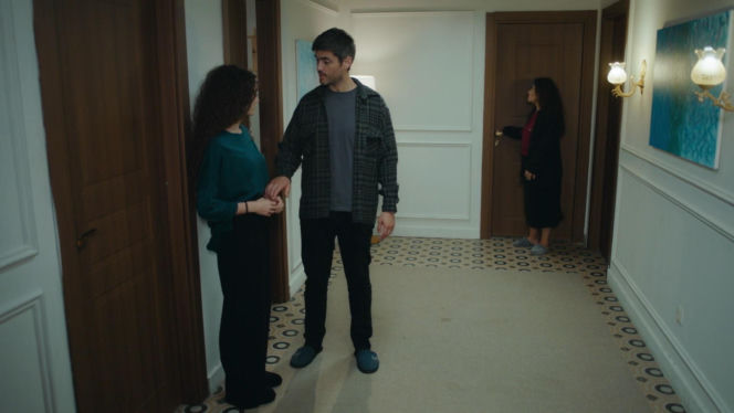 Dziedzictwo, odc. 961. Cansel, Nana, Poyraz