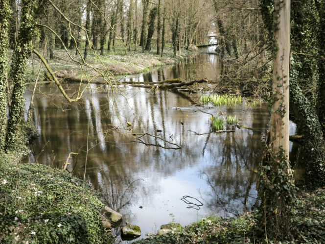 Pałac w Pawłowicach