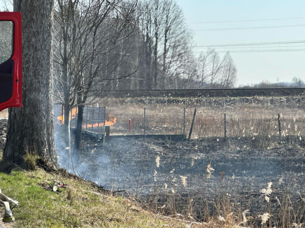 Pożar w Lubajnach pod Ostródą! Ogień zagraża schronisku dla zwierząt. Psy ewakuowane!