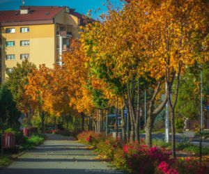 Koniec z „betonozą” w Starachowicach. Miasto przejdzie przemianę