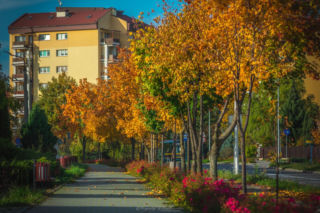 Koniec z „betonozą” w Starachowicach. Miasto przejdzie przemianę