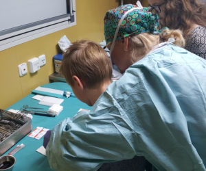 Medicalia w Bydgoszczy