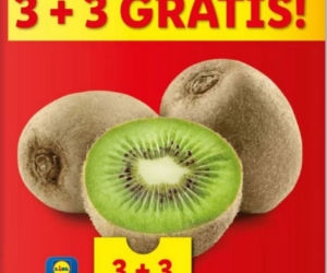 Nowe promocje w Lidlu