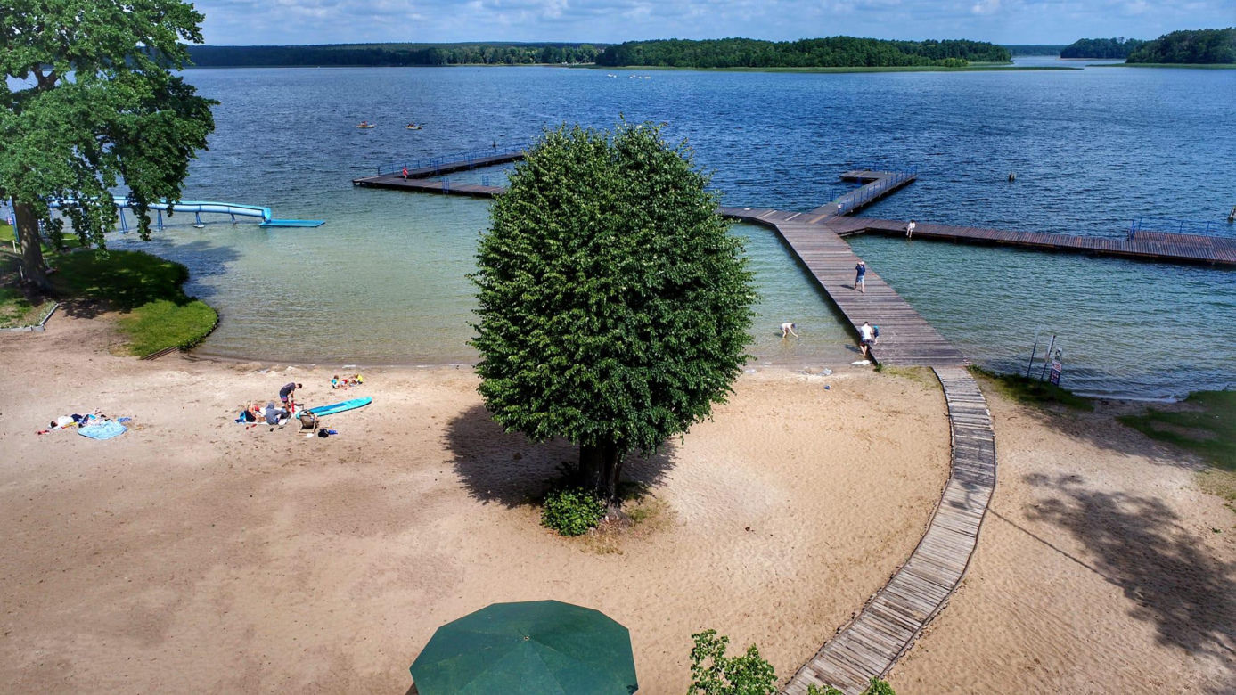 Kormoran nad jeziorem Niesłysz w Lubuskiem zaprasza turystów. Zobacz na te przepiękne zdjęcia 