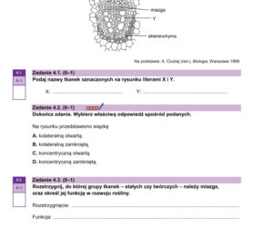 Próbna matura 2026 z biologii: Arkusze CKE, pytania i sugerowane odpowiedzi [14.01.2026]