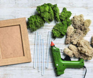 Roślinne dekoracje DIY na Boże Narodzenie 2025