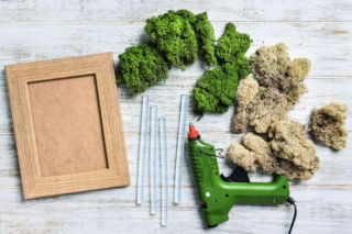 Dekoracje na Boże Narodzenie - jak zrobić je samodzielnie, wykorzystując zieleń i rośliny? Pomysły na roślinne ozdoby świąteczne