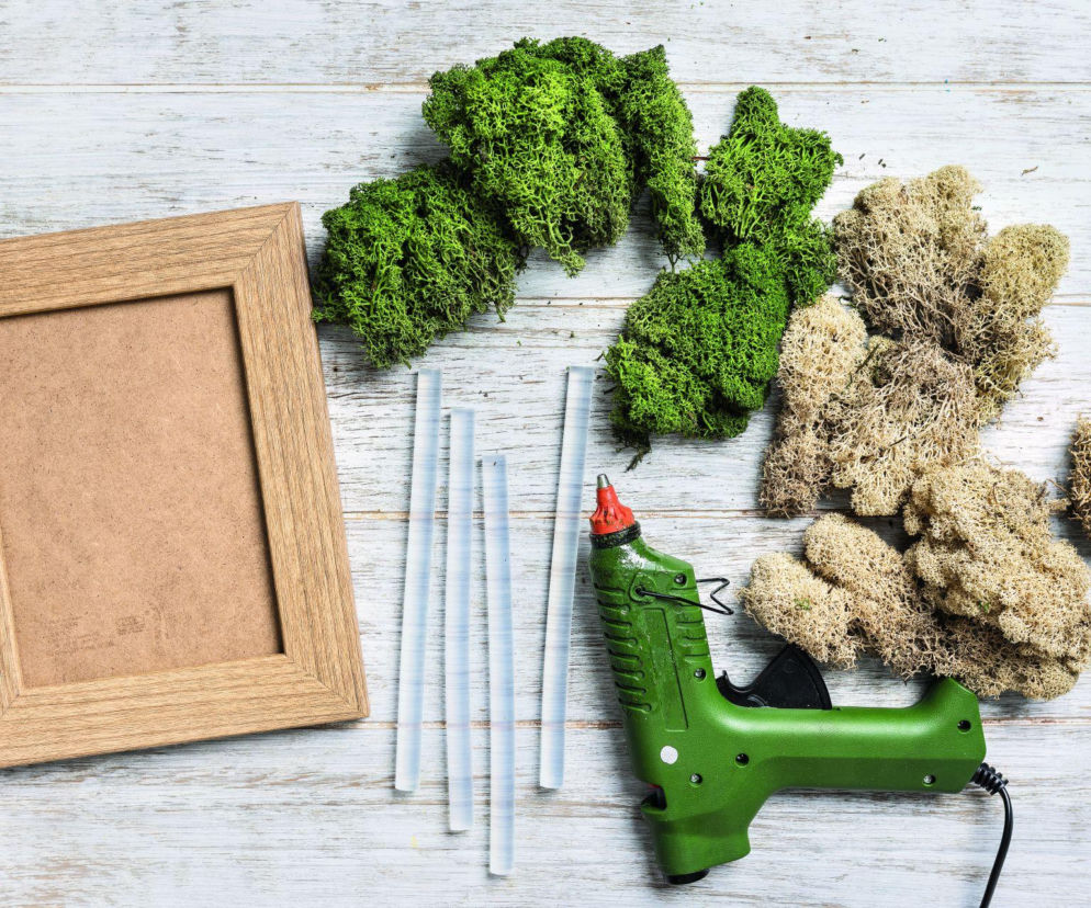 Roślinne dekoracje DIY na Boże Narodzenie 2025