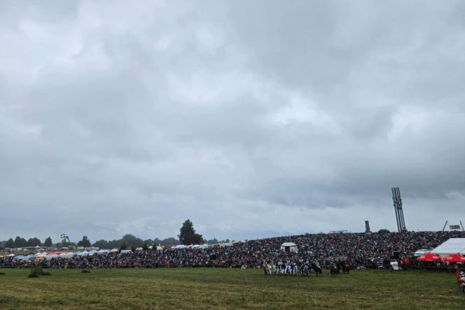 Grunwald. Inscenizacja słynnej bitwy średniowiecza już w sobotę!
