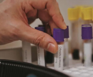 Złoty chłopak odcinek 281