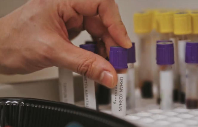 Złoty chłopak odcinek 281