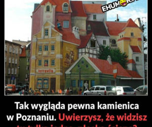 Tak internet się śmieje się z Poznania! Zobacz najlepsze MEMY!