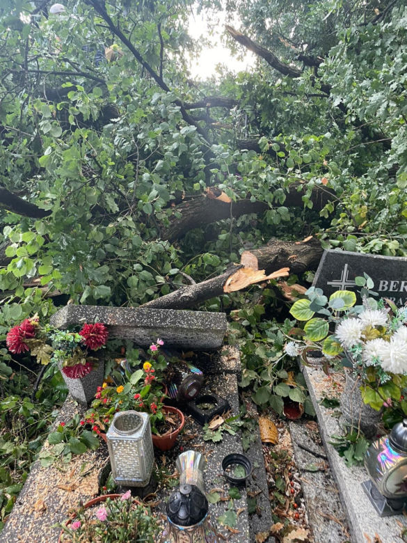 Powalone drzewa zniszczyły cmentarz i miażdżyły samochody