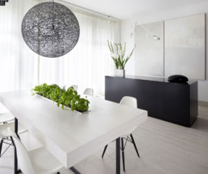 Czarno-białe wnętrze apartamentu