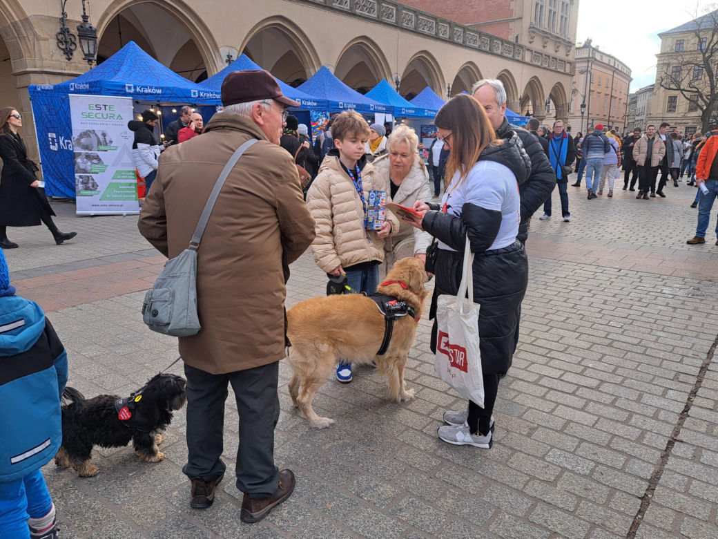 33. Finał WOŚP z grupą krakowskich Golden Retrieverów