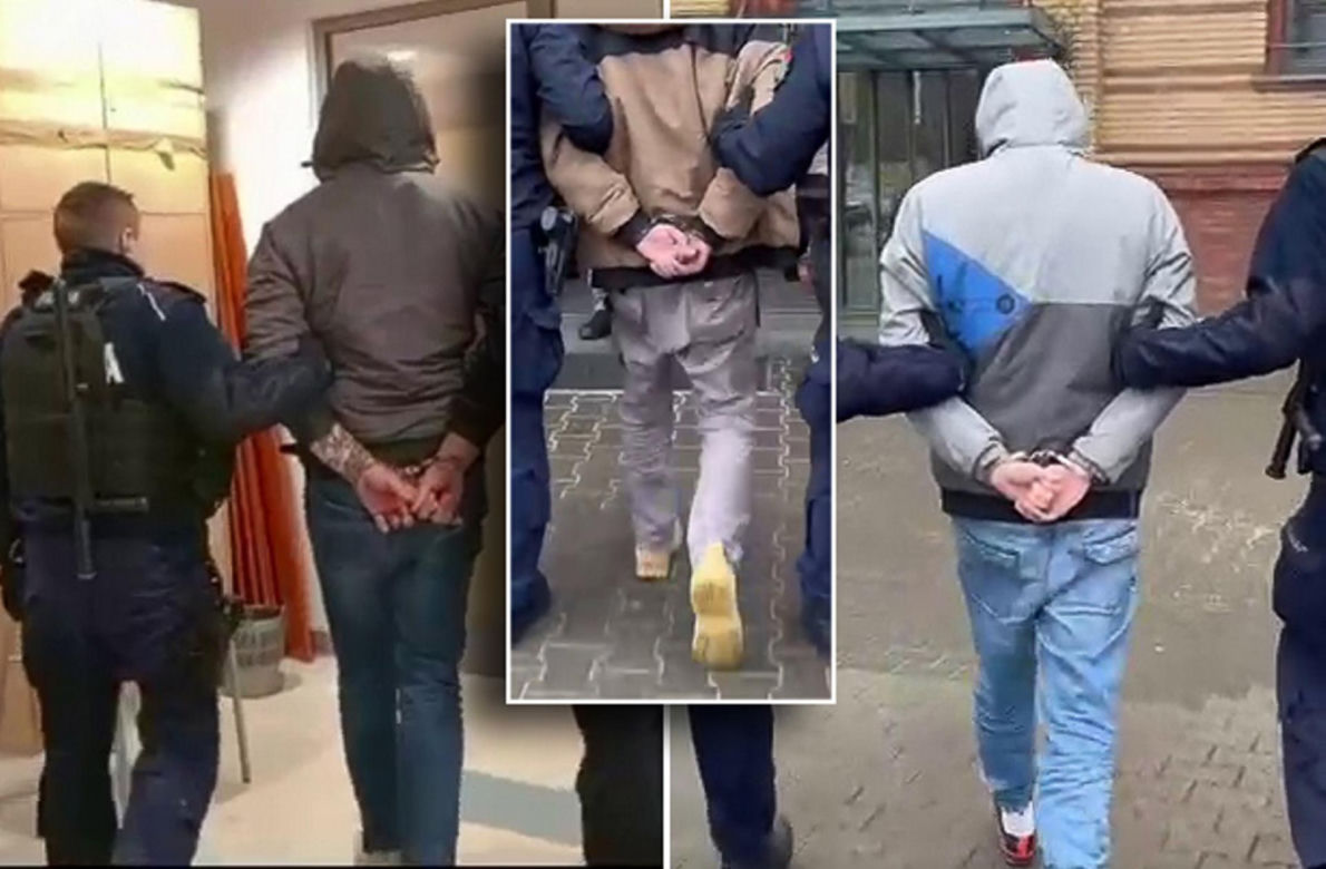 Aresztowani, którzy porwali i pobili strusia Zenka