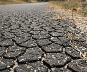 Termometry w Gorzowie Wielkopolskim mocno w górę. Finał weekendu będzie wyjątkowo gorący