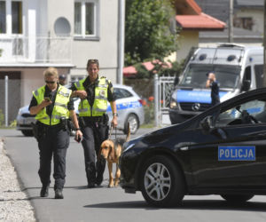 Do poszukiwań Dawidka zostały włączone specjalne psy niemieckiej policji