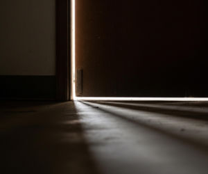 Manul Bożenka odnaleziona po dramatycznych poszukiwaniach. Co kryje się za tajemniczym zniknięciem?