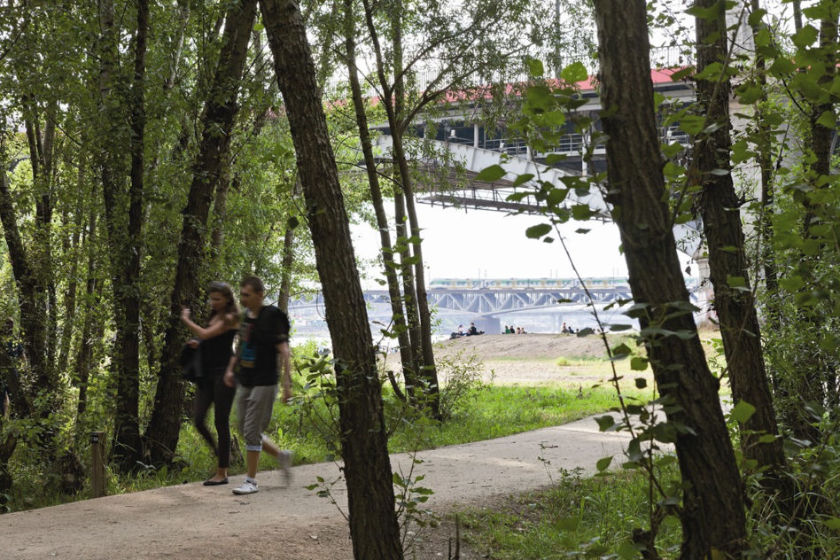 Ścieżka rekreacyjna nad Wisłą
