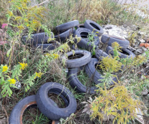 Policjant z Wydziału Techniki Kryminalistycznej w Bydgoszczy zabrał się za robienie porządku