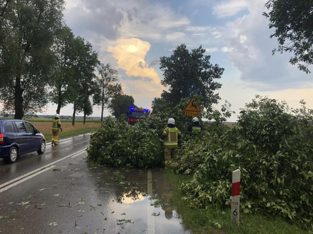 Podlaskie. Ponad 200 niedzielnych interwencji strażaków w związku z silnym wiatrem i burzami