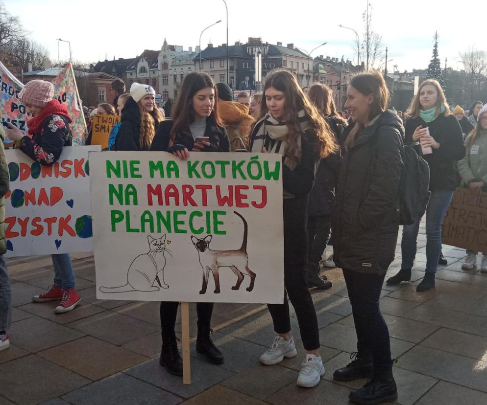 Strajk klimatyczny