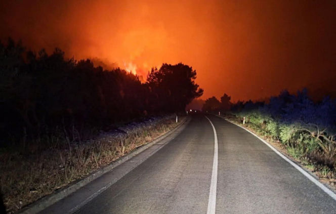 Pożary w Chorwacji na wyspie KORČULA