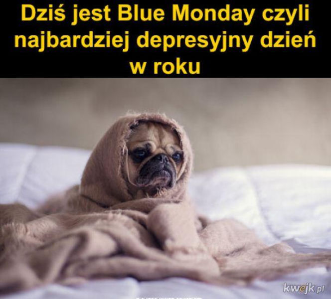 MEMY na Blue Monday